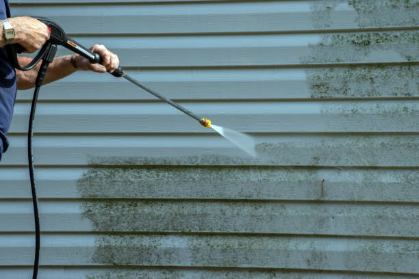 Best Affordable Pressure Washing  in Eagle Lake, TX